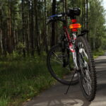 Vado a scuola con gli amici in bus, a piedi, in bici