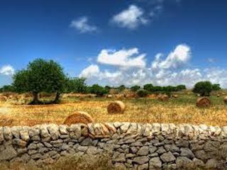 Terreni e aziende agricole confiscate: firmato protocollo tra Mipaaf e ANBSC