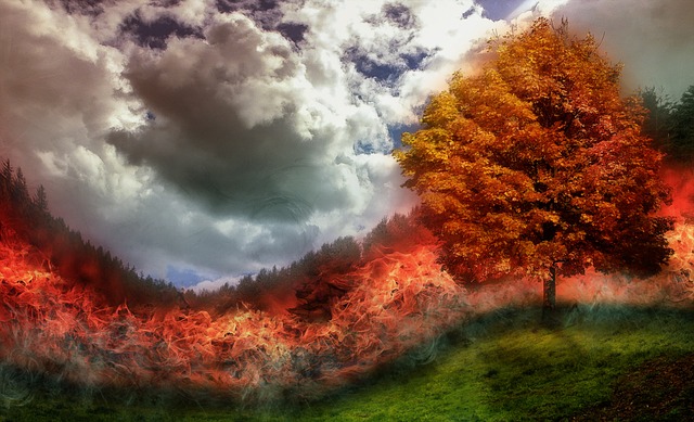 Incendi delle foreste tra i primi interventi dell'uomo sul clima
