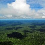 Greenpeace e i Ka’apor per difendere la Foresta Amazzonica